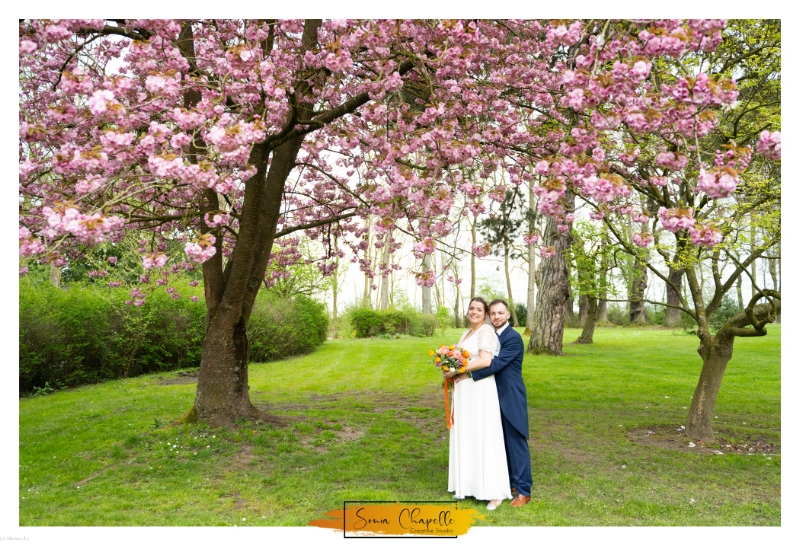 SONIA CHAPELLE CREATIVE STUDIO