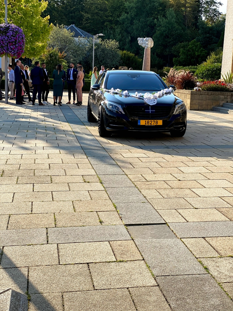 VIP LIMO