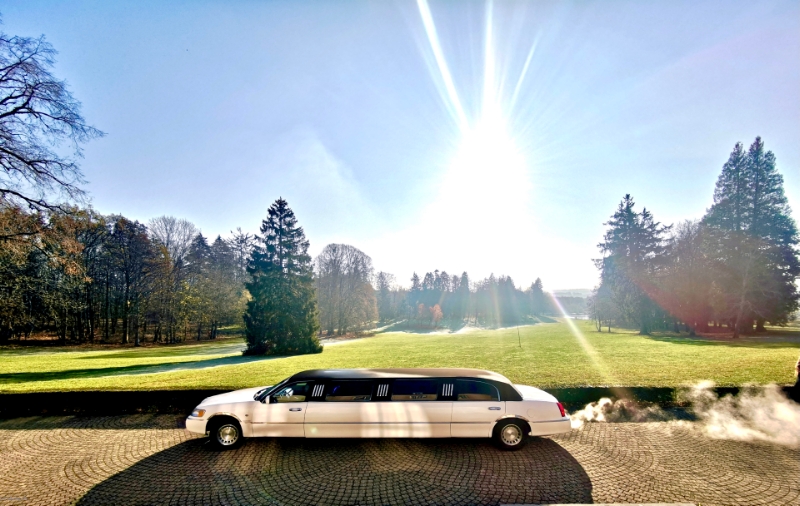 VIP LIMO