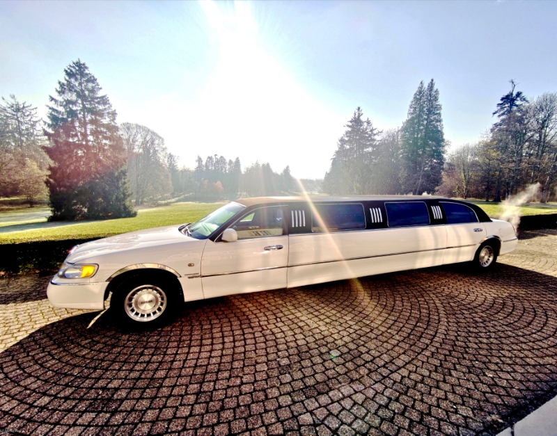 VIP LIMO